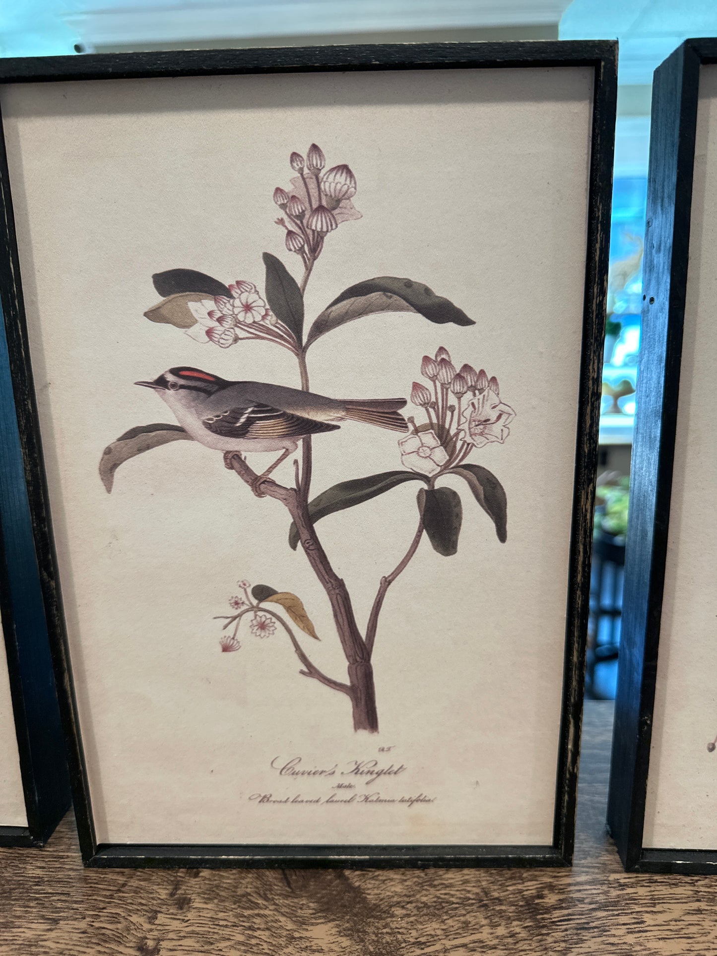 Bird & Flower Wall Décor