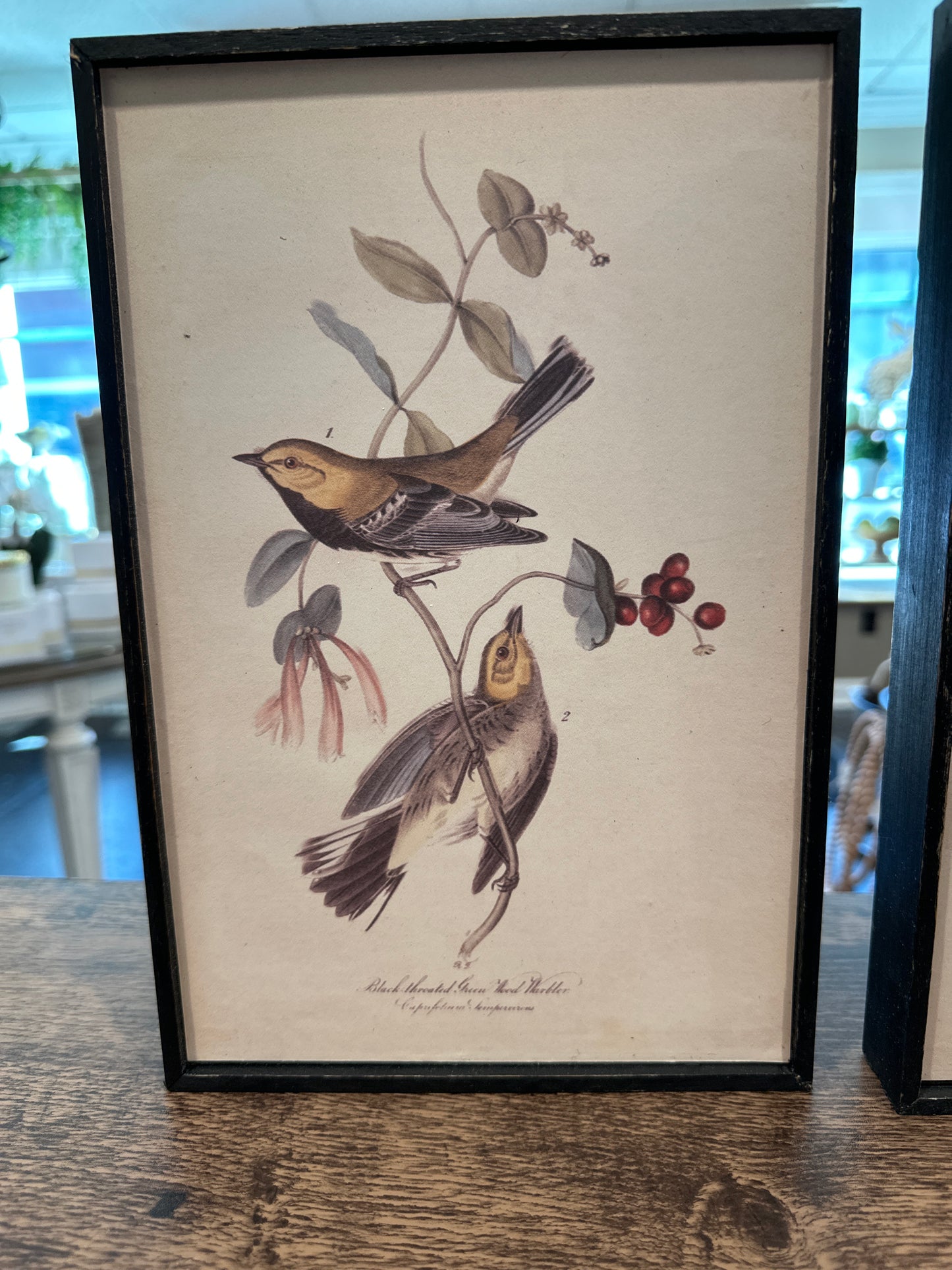 Bird & Flower Wall Décor
