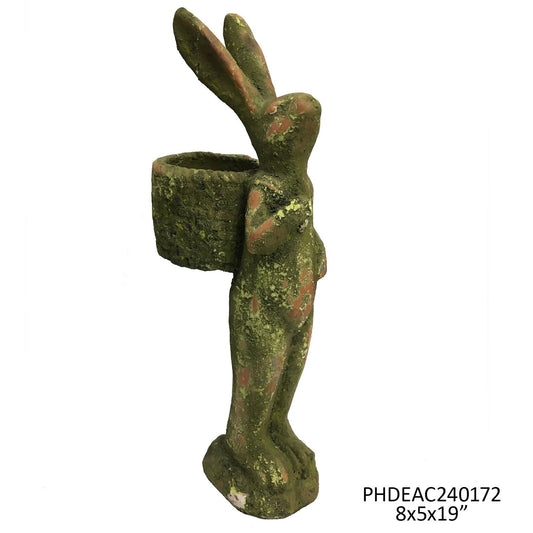 Aged Gathering Rabbit