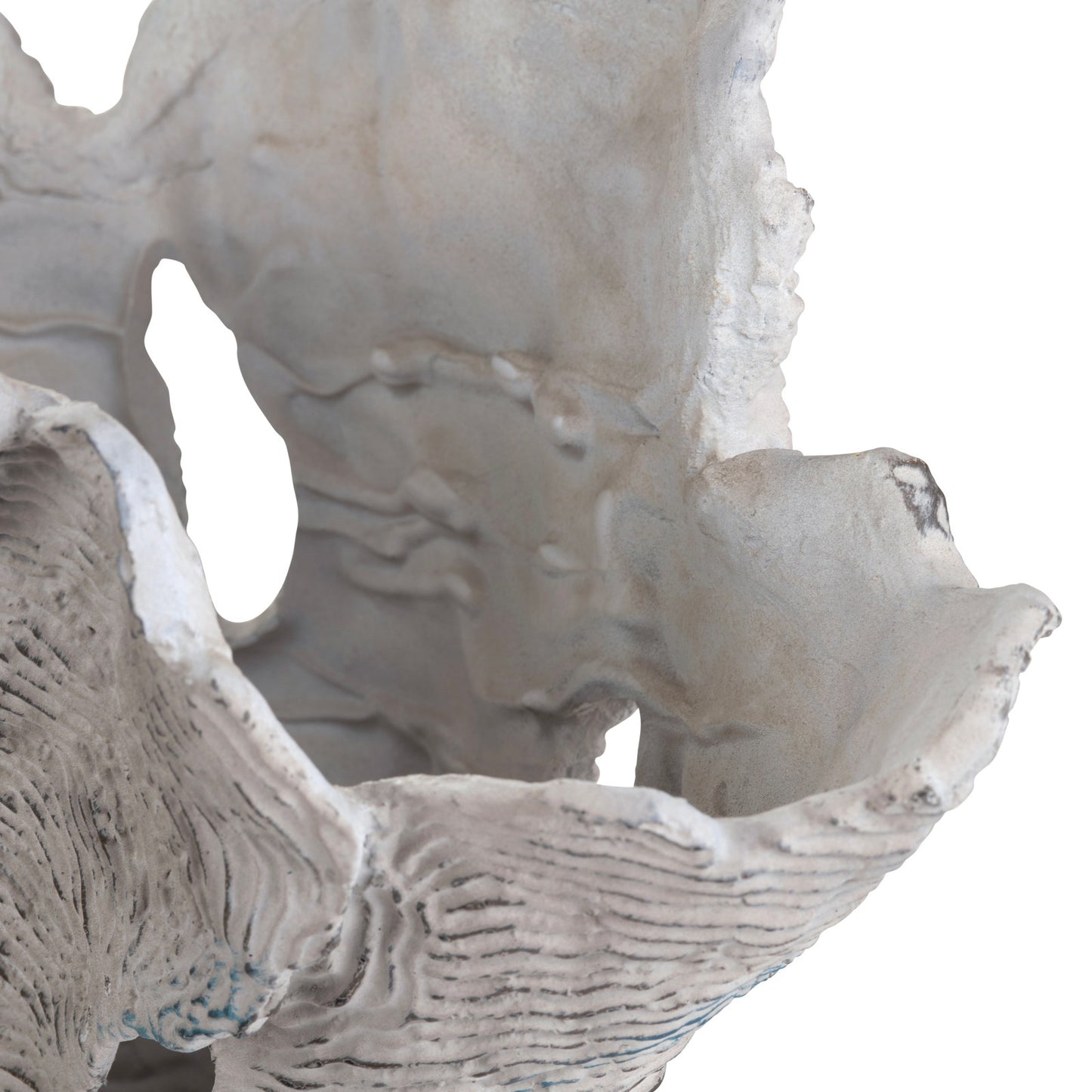 Deacon Coral Sculpture