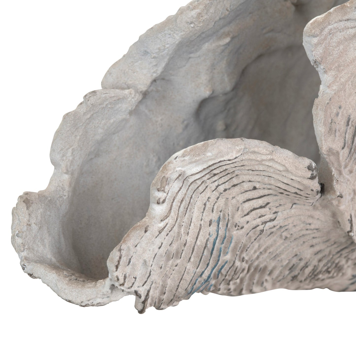 Deacon Coral Sculpture