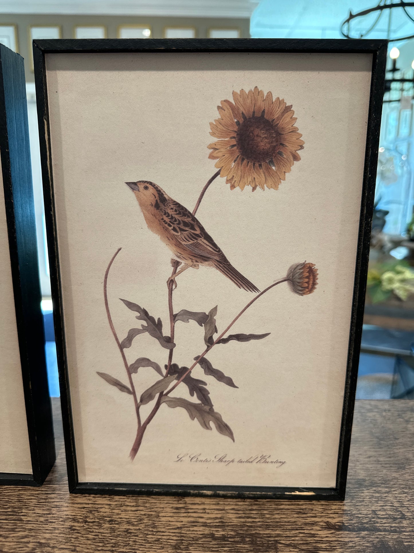 Bird & Flower Wall Décor