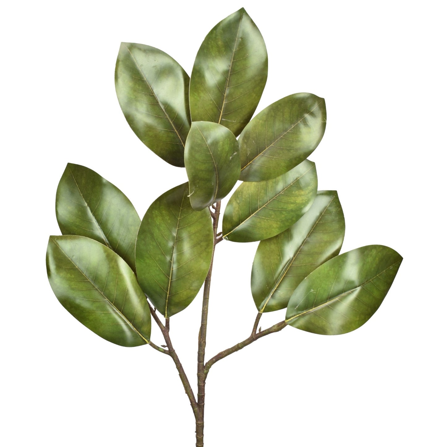 29” FRESH CUT MAGNOLIA LEAF SPRAY - GREEN