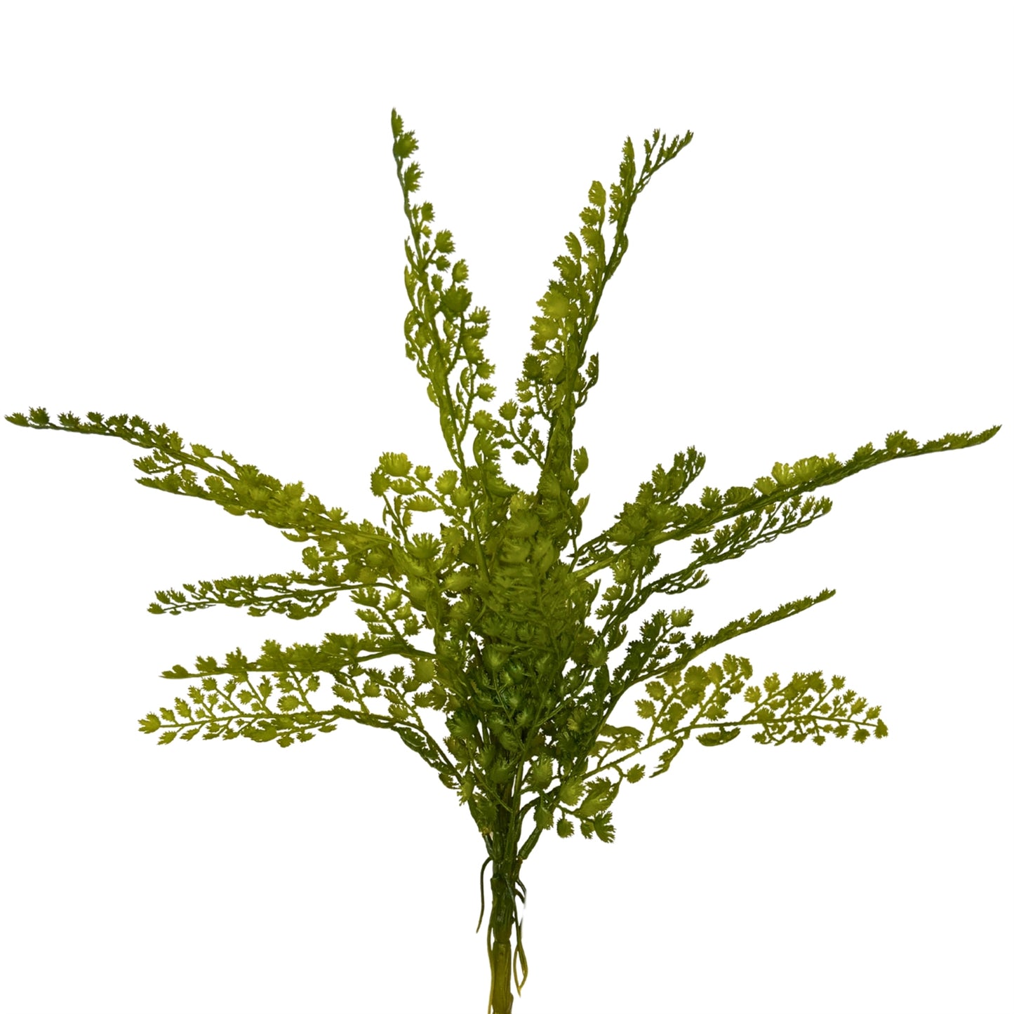 Maiden Hair Fern Bush 18'' - Green