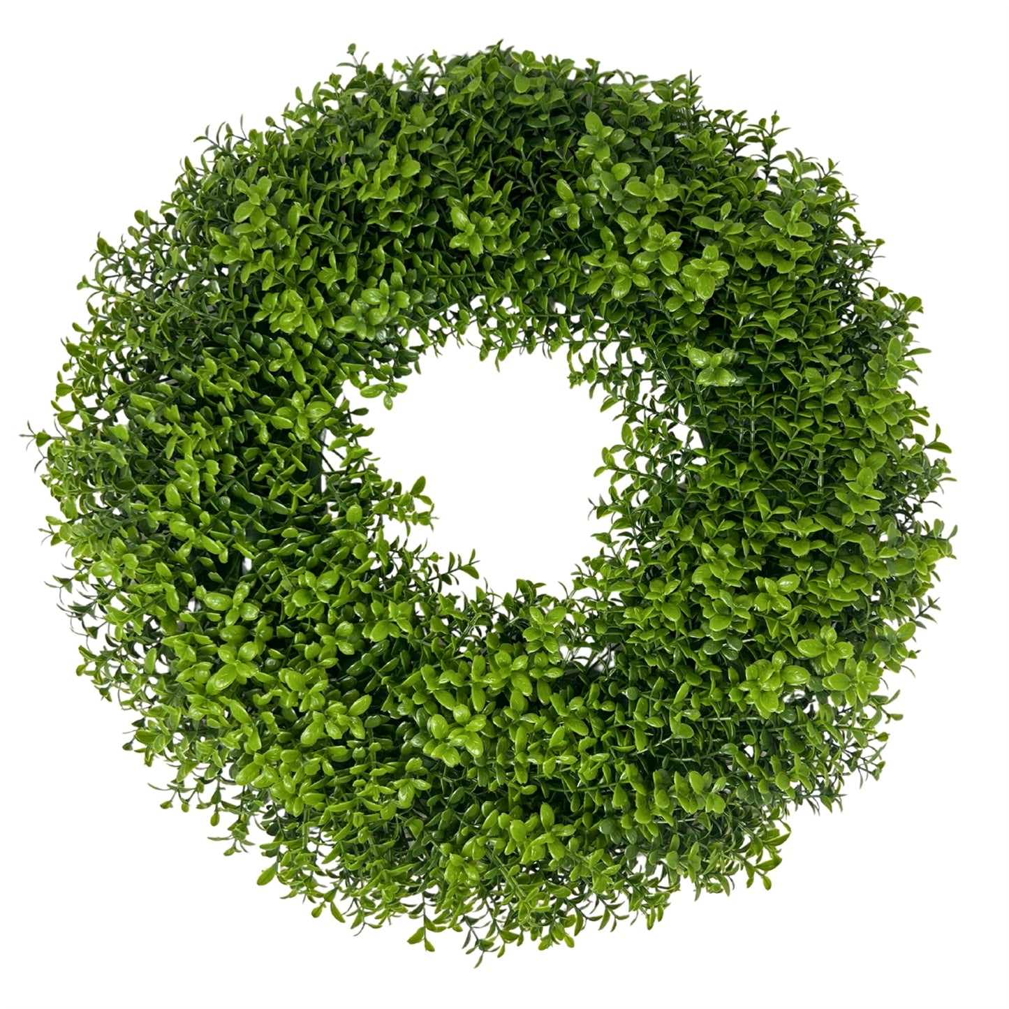 European Boxwood Wreath 18''