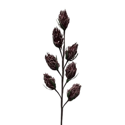 Thistle Pod Spray plum 30'