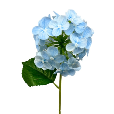 Fresh Touch Snowball Spray - Blue - 13.5"