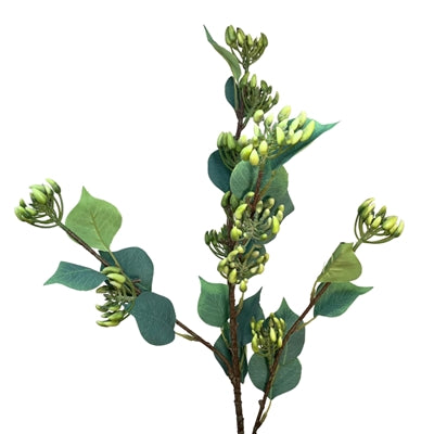 Rapeseed Bud Spray 35"