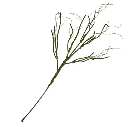 Wild Moss Curling Vine Branch 33"