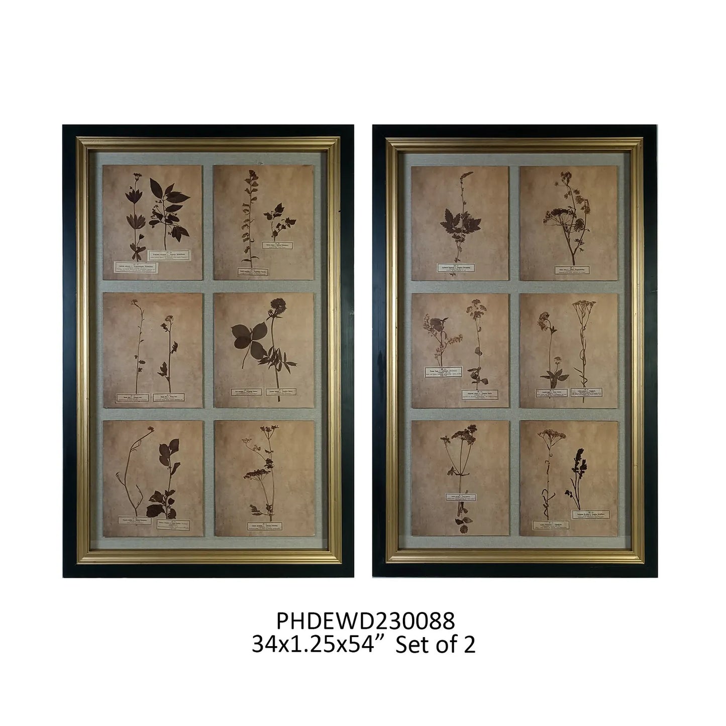 Grand Estate Botanical Prints, Set of 2