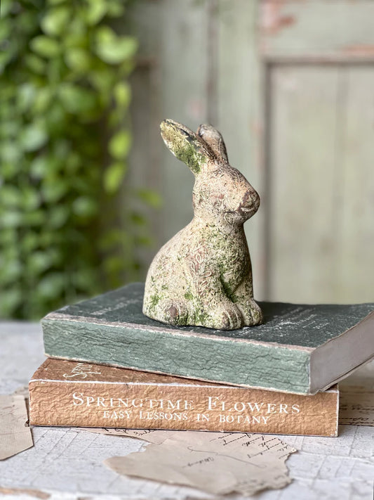 Tilly Rabbit - Sitting