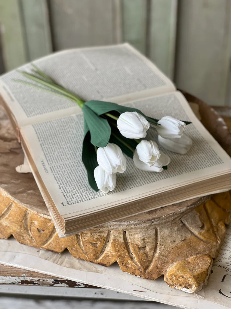 Triumph Tulip Bundle - White