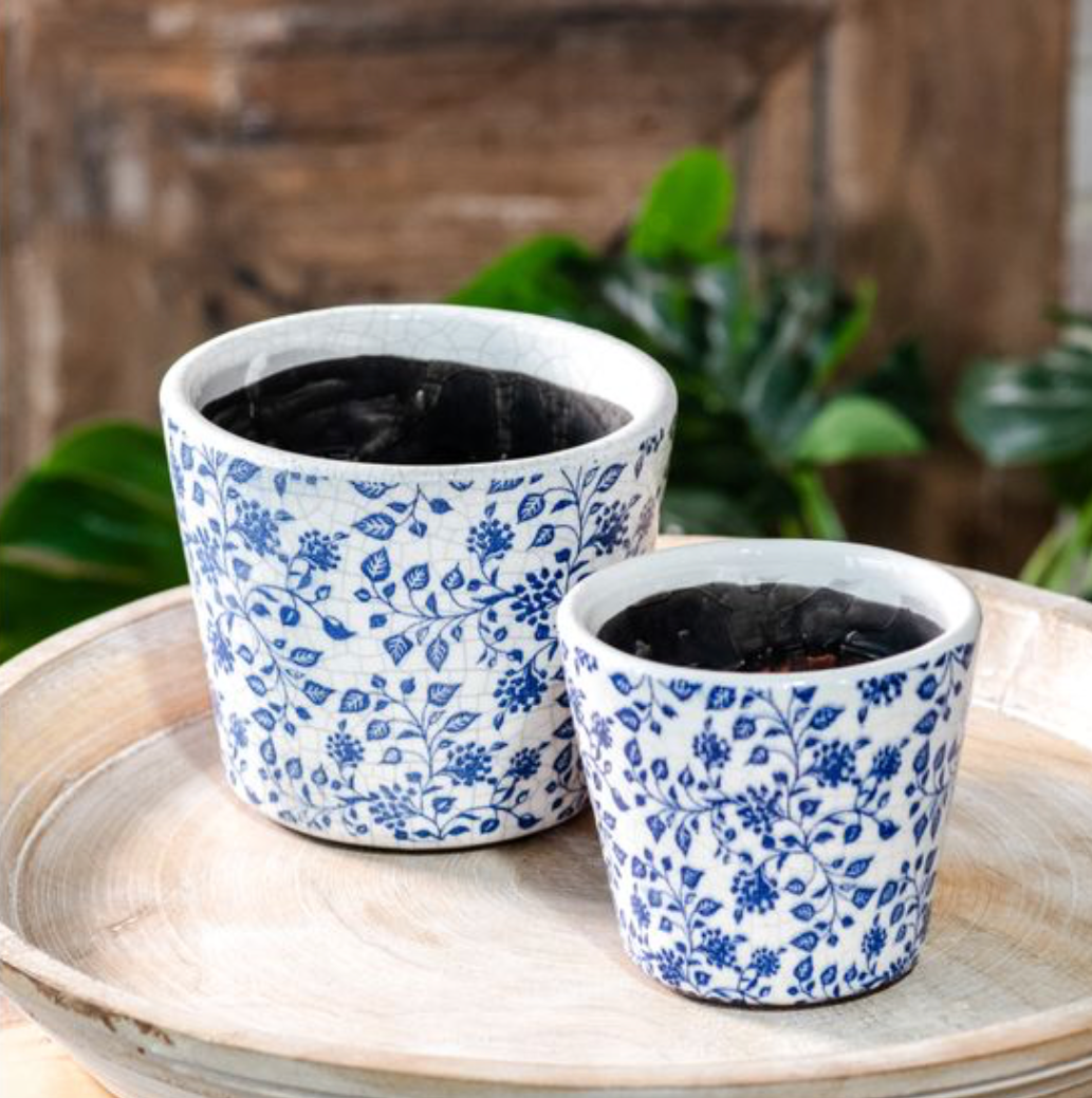 BLUE BERRY LEAF PRINT POTS