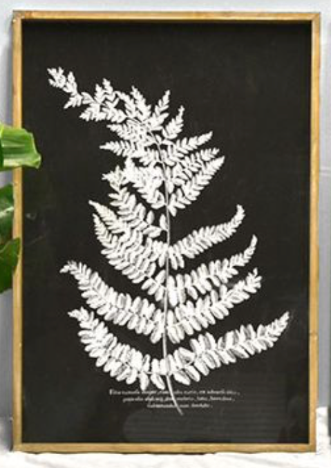 Jumbo Fern Wood Wall Art