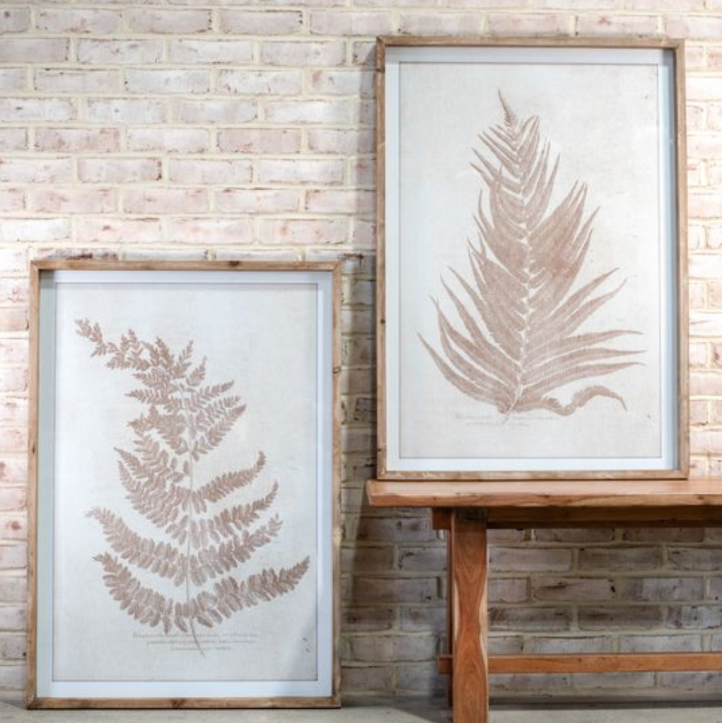 Fern Pattern Print