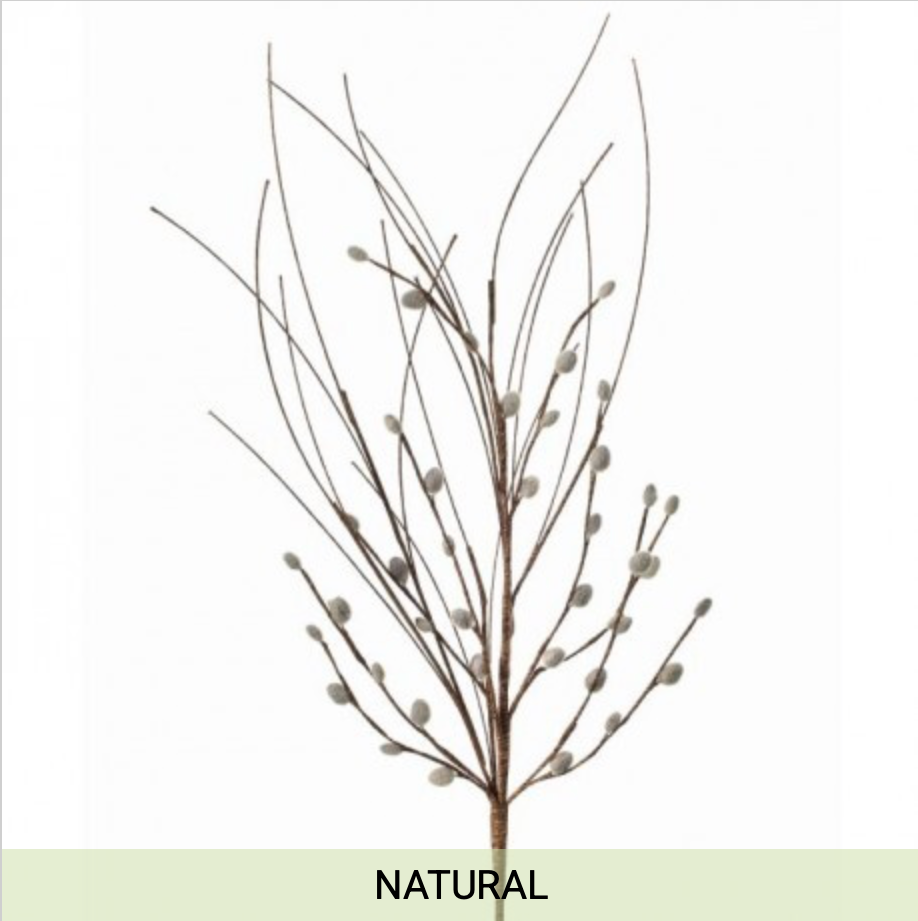 Pussy Willow Pick