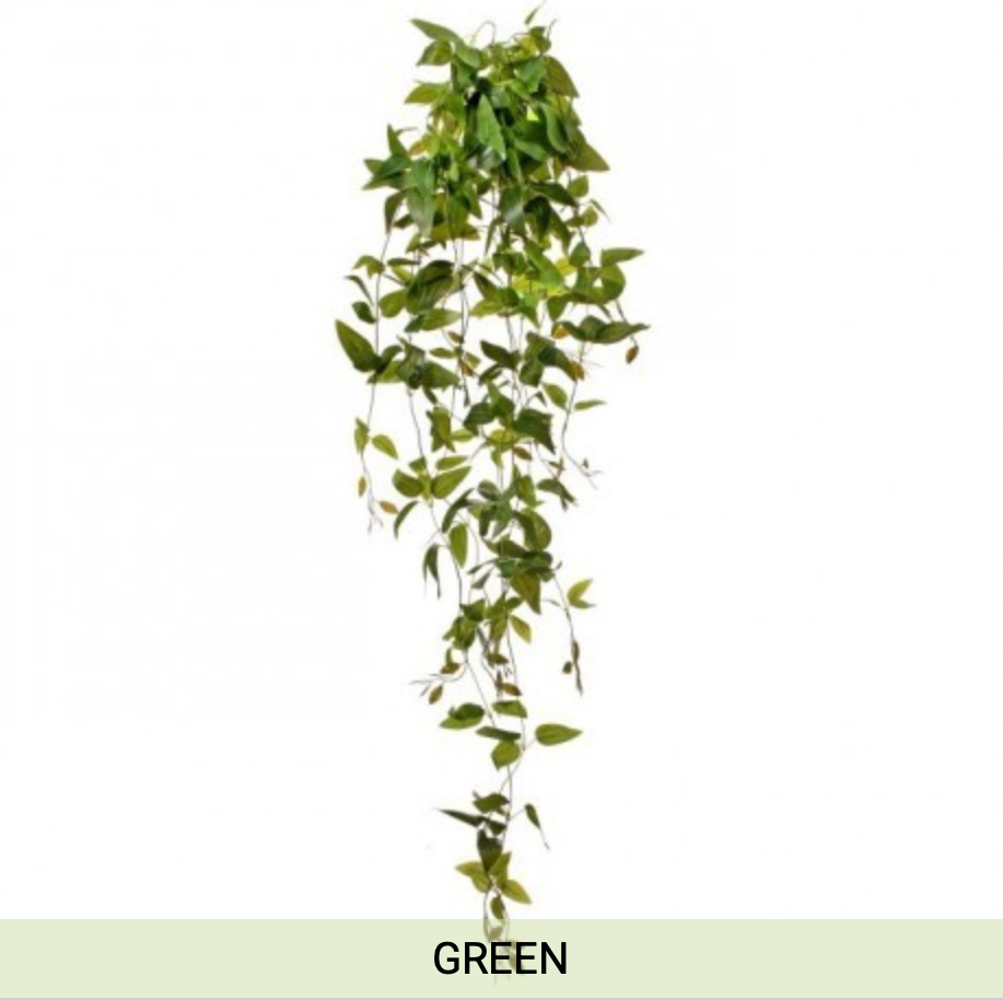 Pu Hanging Transcendais Plant 41"