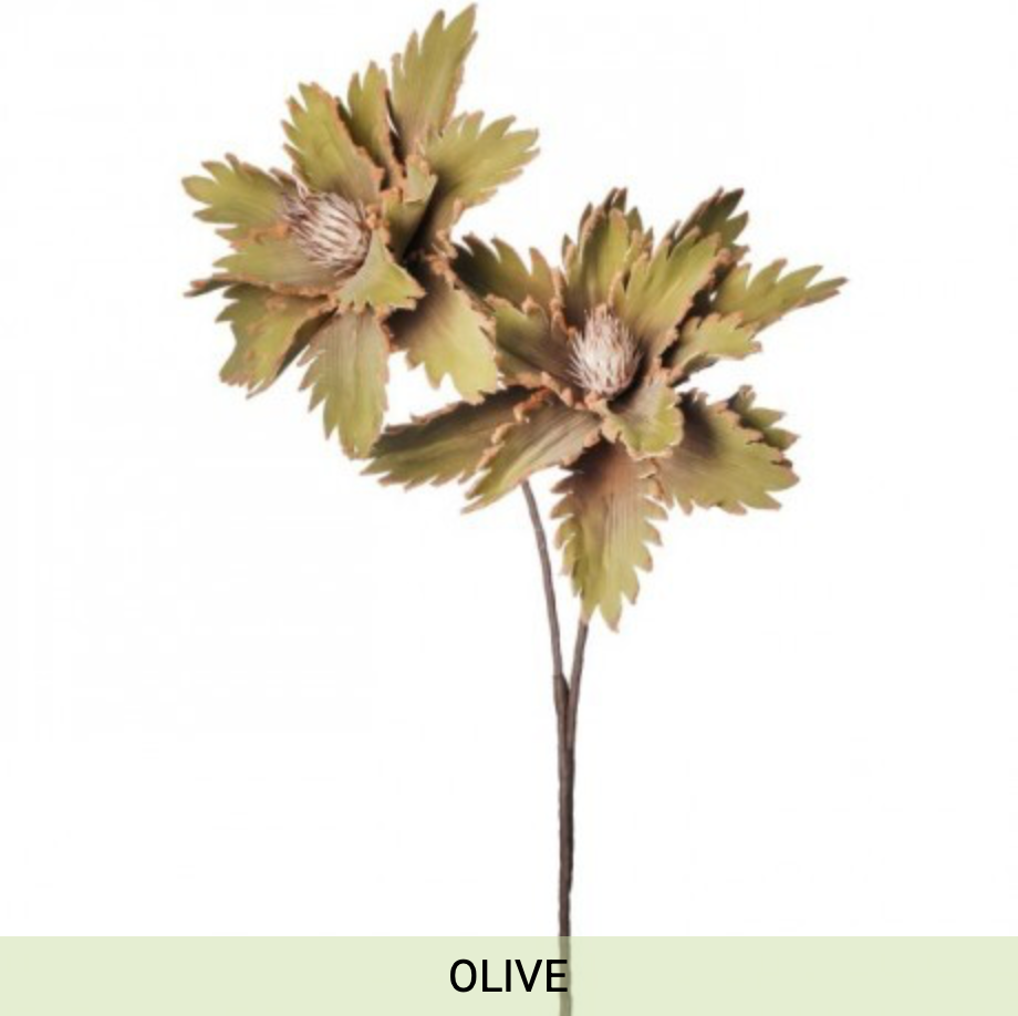 Double Scallop Agave 40"