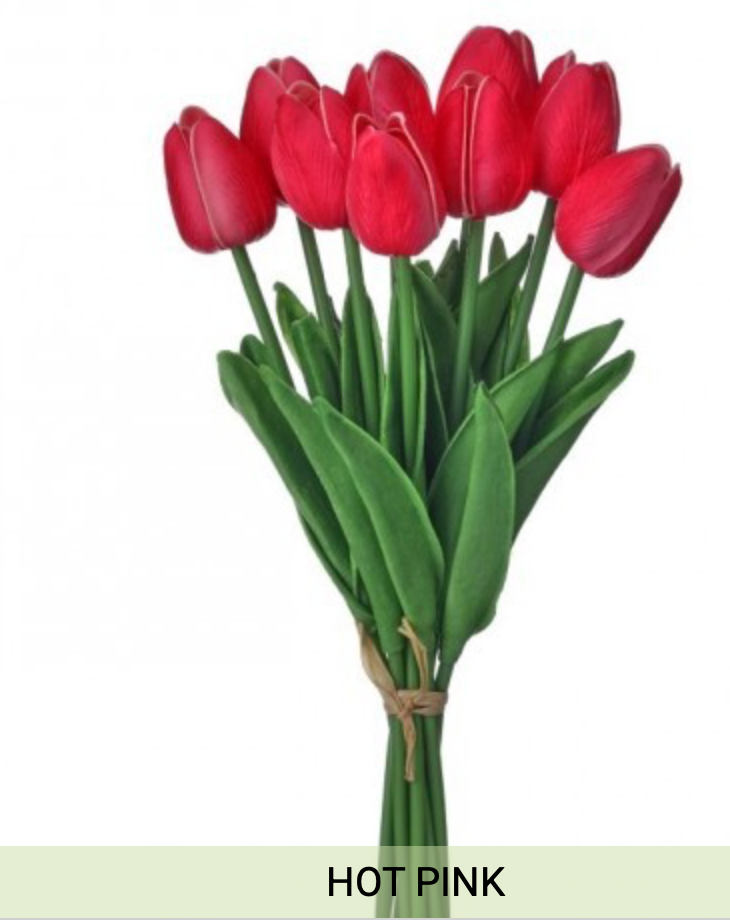 13" Eva Dutch Tulip Bundle - Hot Pink