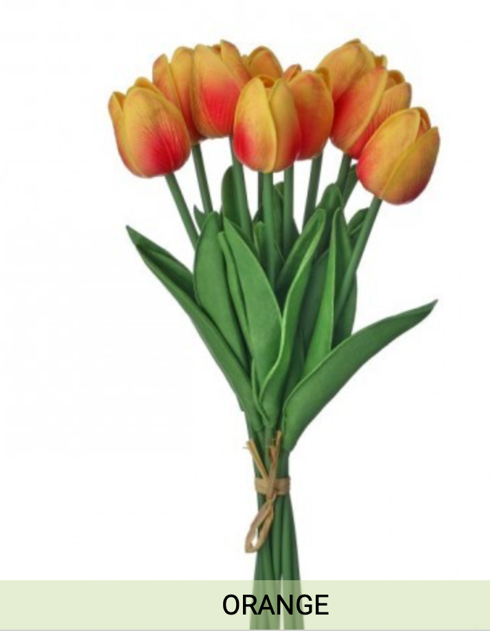 13" Eva Dutch Tulip Bundle - Orange