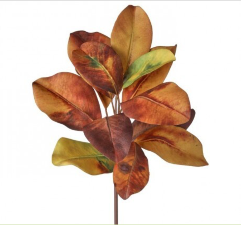 19" AUTUMN MAGNOLIA LEAF PICK