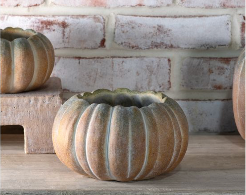 7.7" W. FALL OMBRE CEMENT PUMPKINS