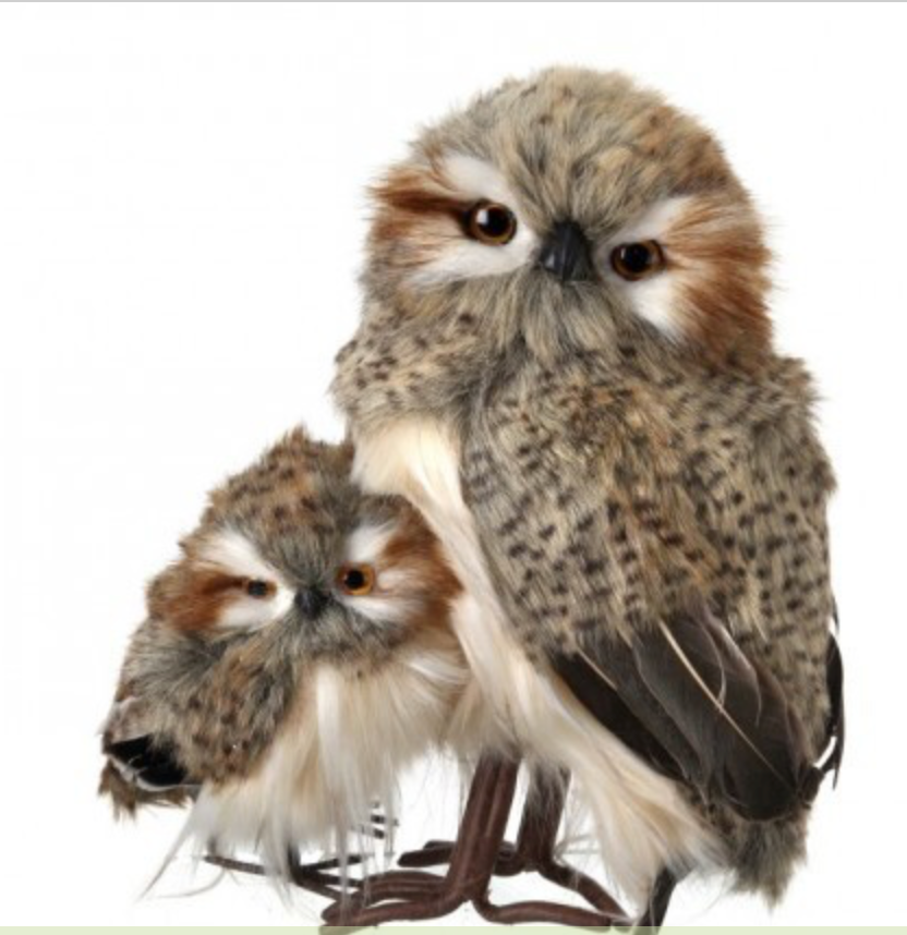 10.5" STANDING SPECKELD HOOT OWL W/BABY