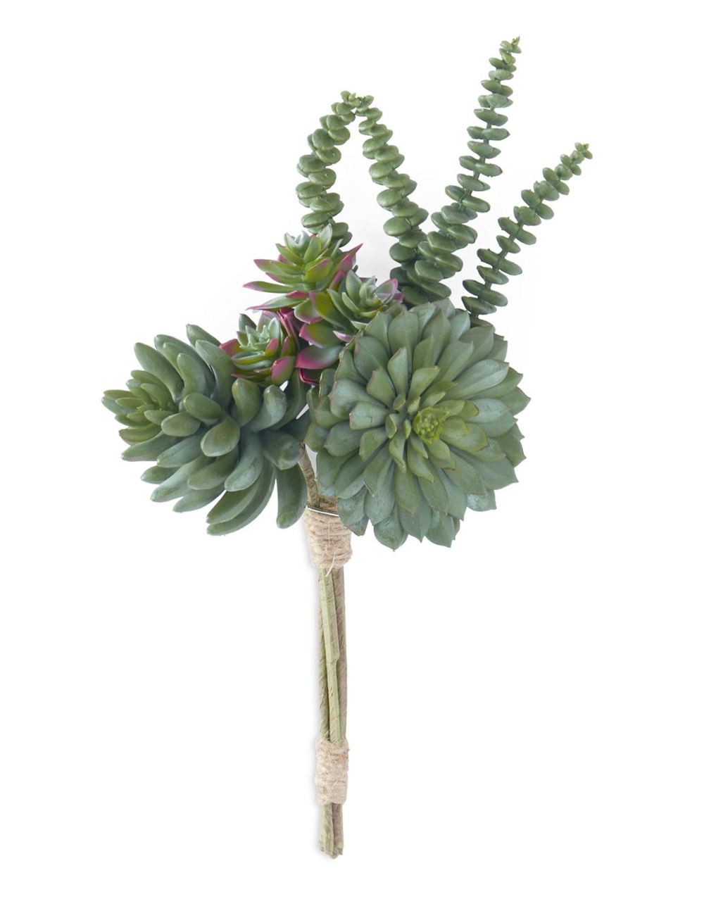 14" Green w/Burgundy Assorted Succulent Pick