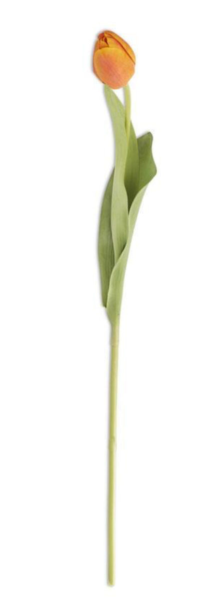 26.75" Orange Real Touch Tulip Stem
