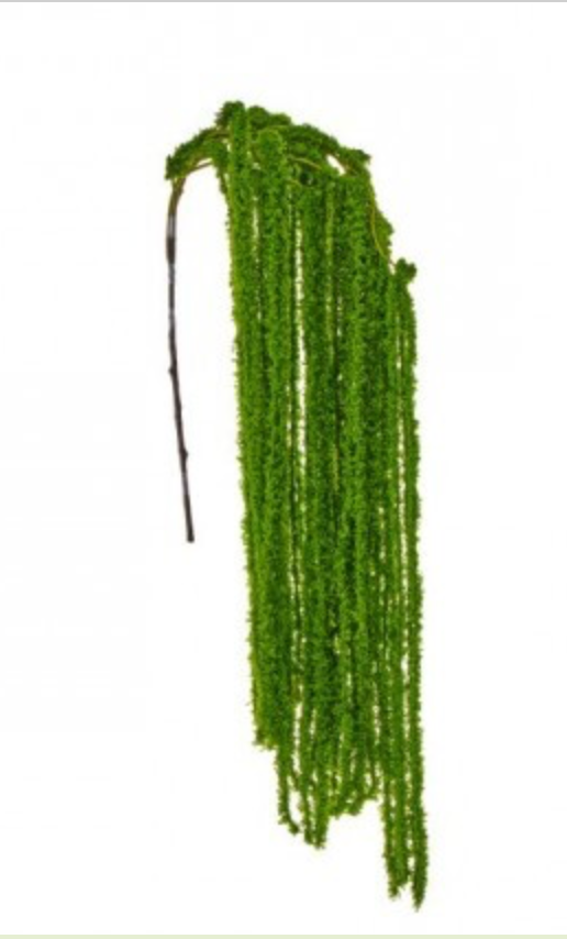 45" SOFT AMARANTHUS STEM