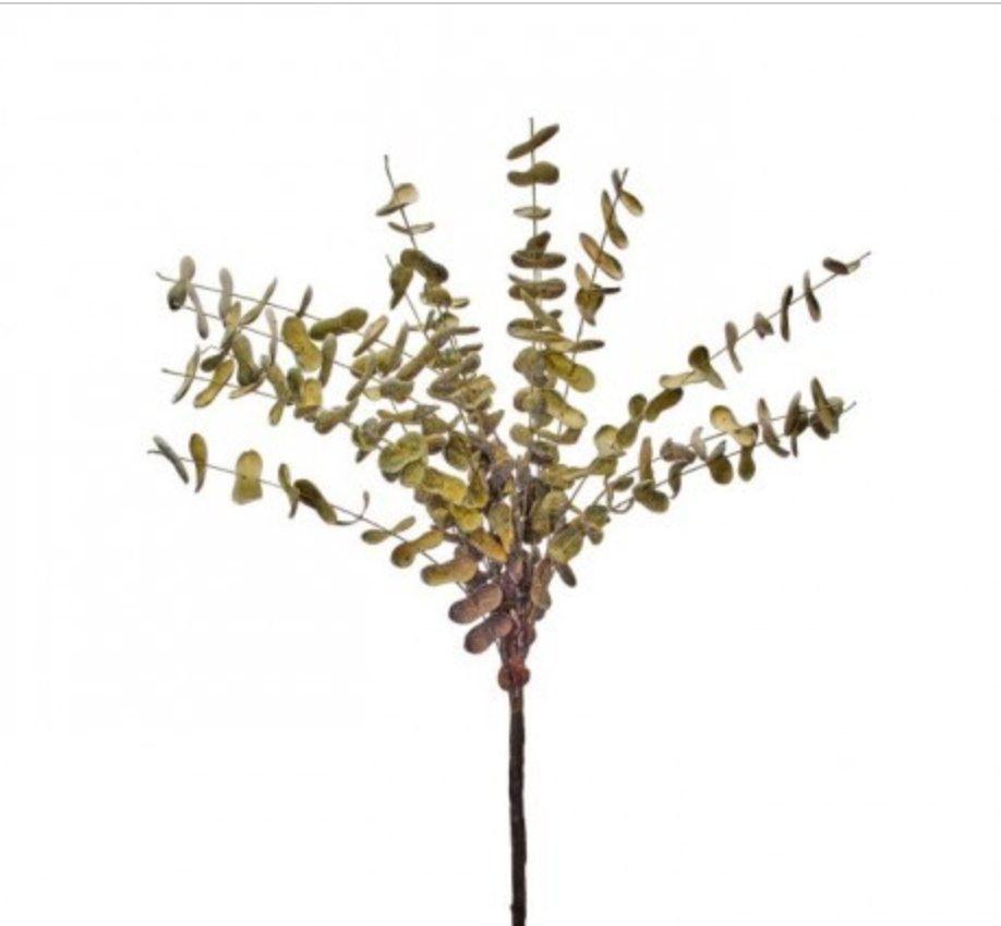 EUCALYPTUS SPRAY 36"