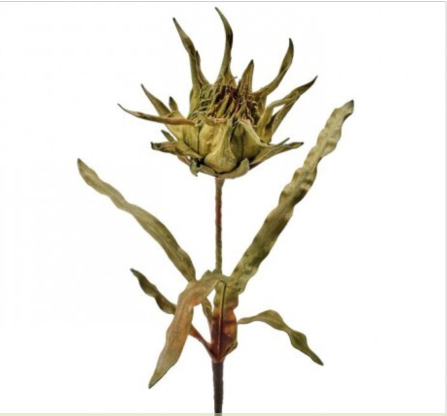 ARTICHOKE PROTEA 40"
