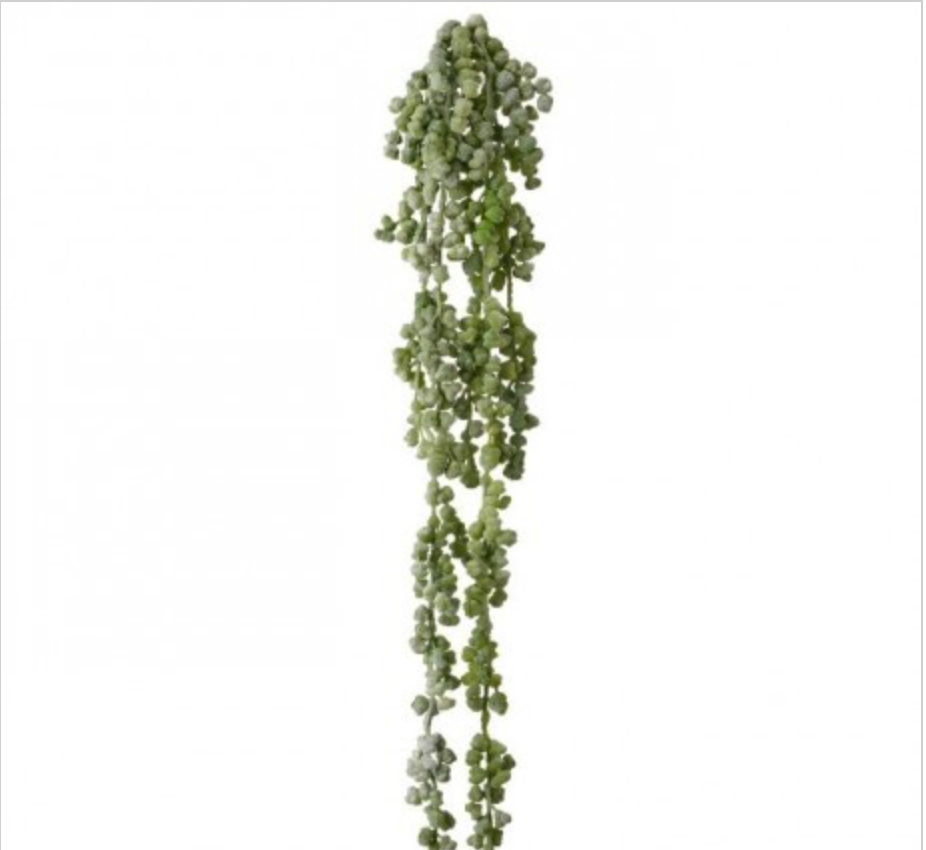 SUCCULENT VINE - GRAY GREEN