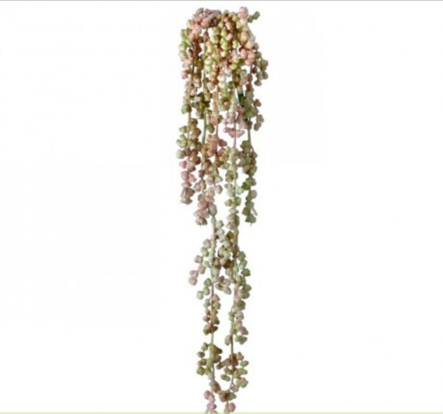SUCCULENT VINE - BLUSH PINK