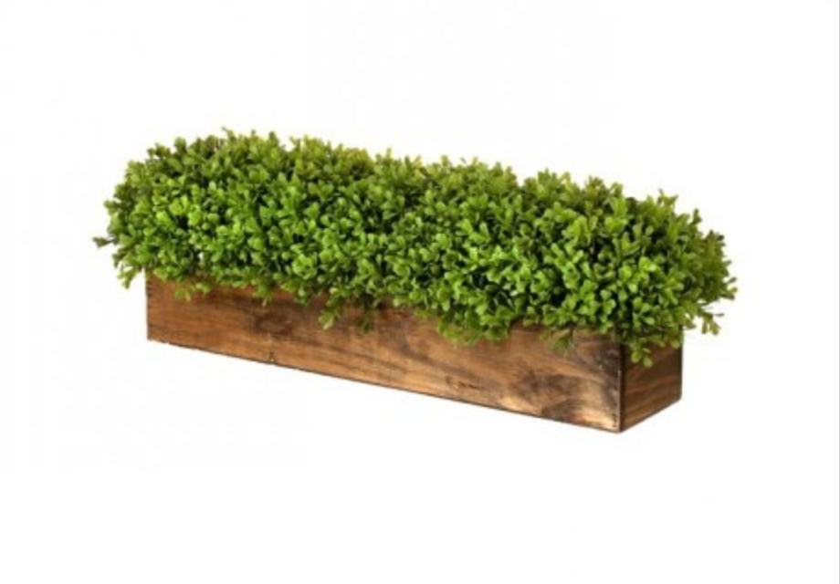 BOXWOOD CENTERPIECE 26"