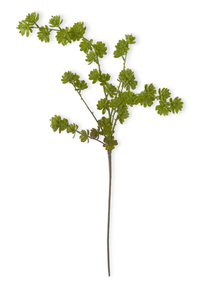 42" GREEN SUCCULENT SPRAY