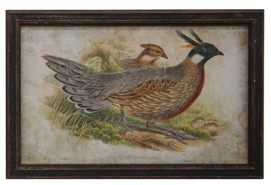 Pheasant Prints