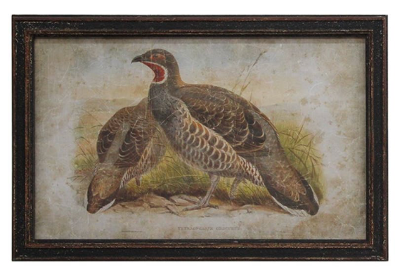 Pheasant Prints