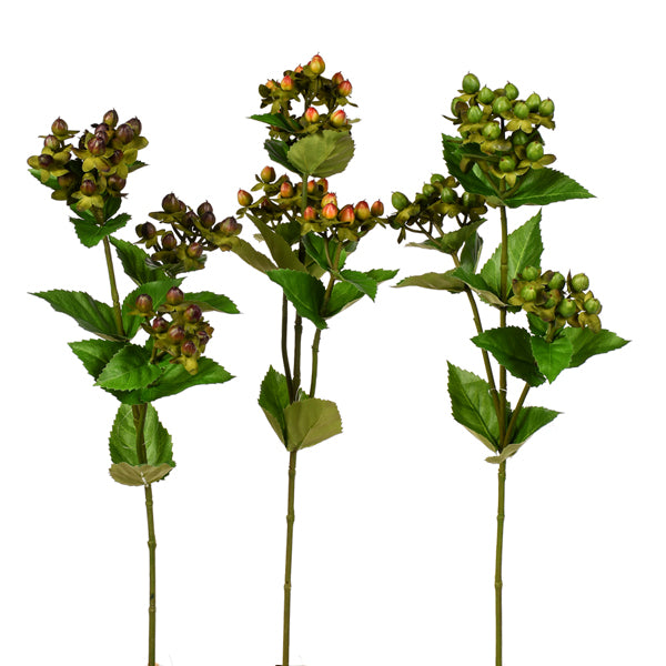 27" Hypericum