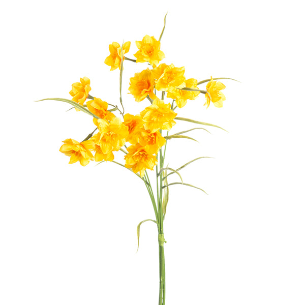 27" Narcissus Bundle - Yellow