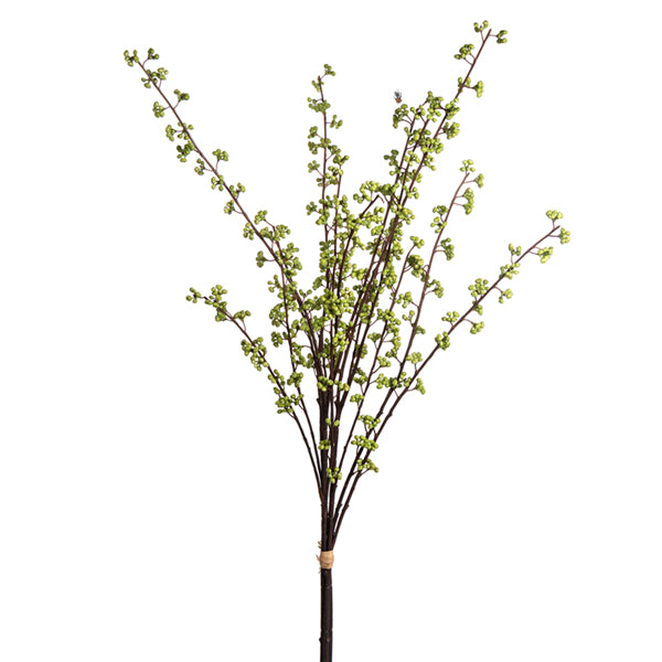 34" Berry Bundle - Large