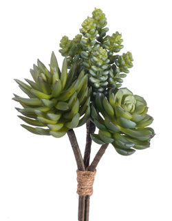 Mixed Succulent Pick - Green