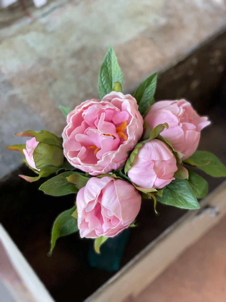 Peony Bundle | 11" | Pink