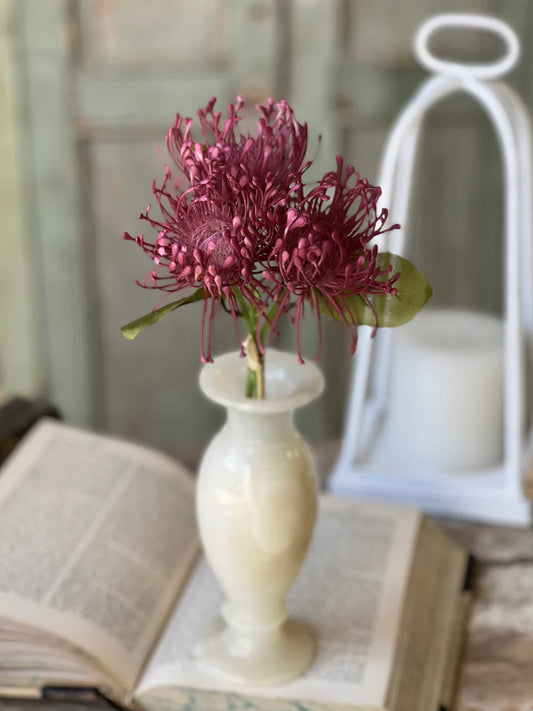 Pincushion Proteas | 12" | Fuji Pink