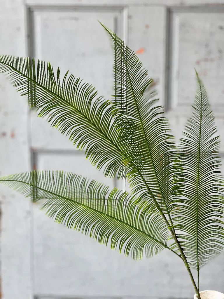 Quill Fern Spray | 37"