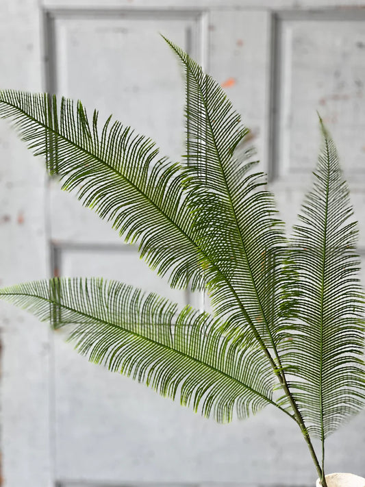 Quill Fern Spray | 37"