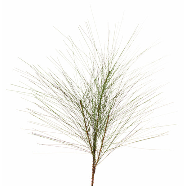 23" LG Pine Needle