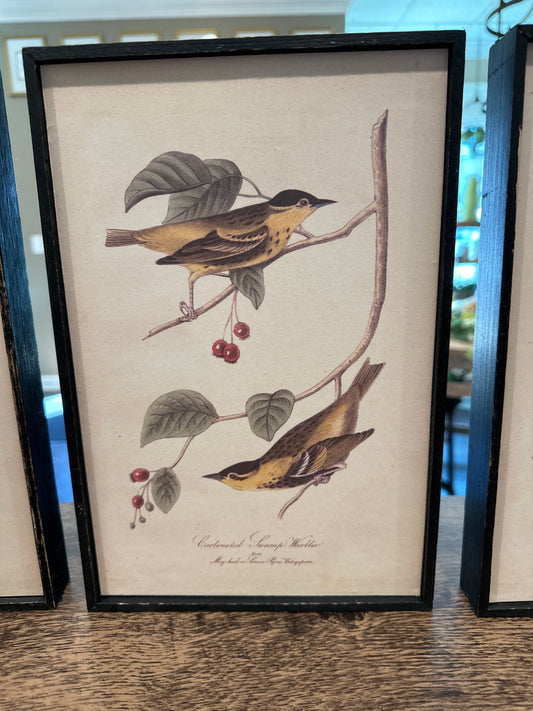 Bird & Flower Wall Décor