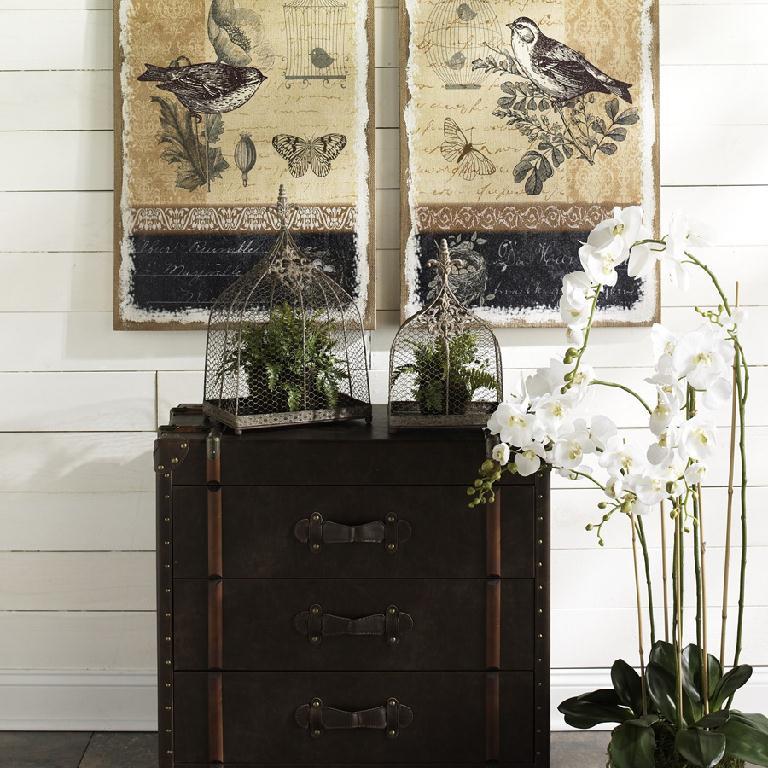 52" White Orchid w/Moss Base & Exposed Roots