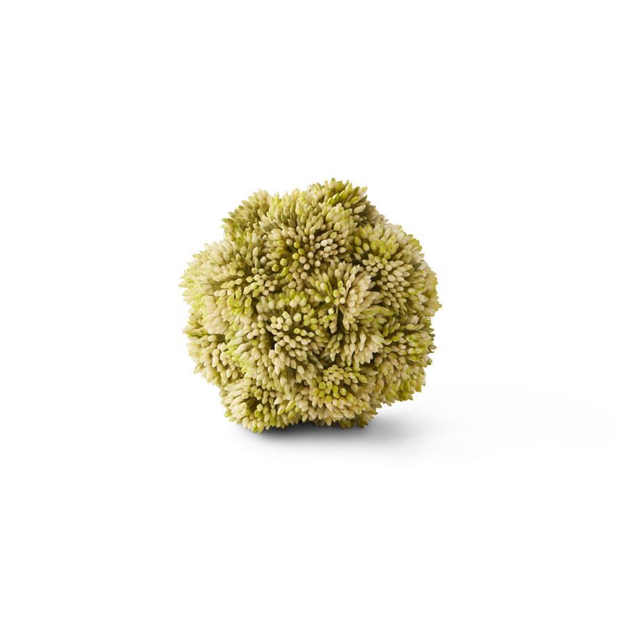 4" GREEN SEDUM BALL